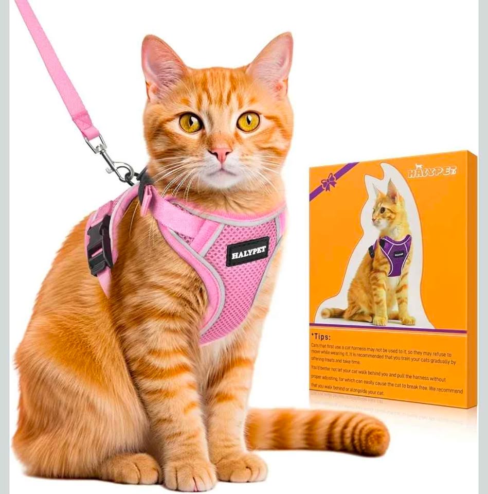Halypet Cat Harness